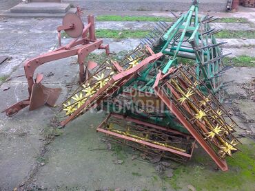 Vogel Noot Trokrilna Drljača