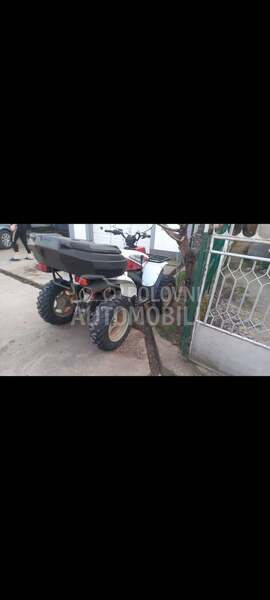 Polaris traill bos