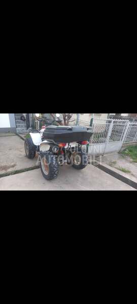 Polaris traill bos