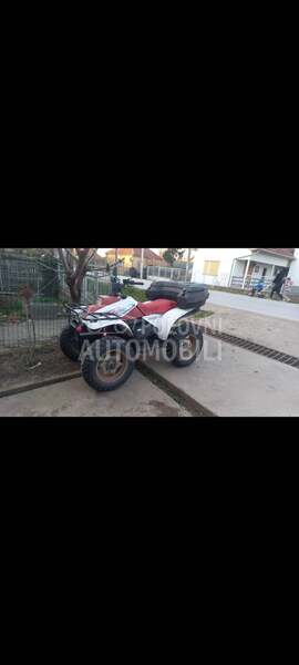 Polaris traill bos