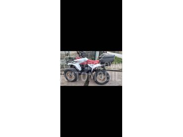 Polaris traill bos