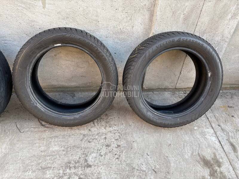 Goodyear 205/55 R17 Zimska
