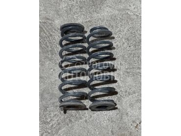 Zadnje opruge za Volkswagen Passat B6