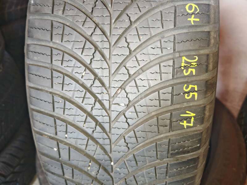 Goodyear 225/55 R17 Sve sezone