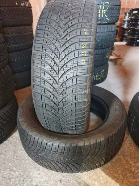Goodyear 225/55 R17 Sve sezone