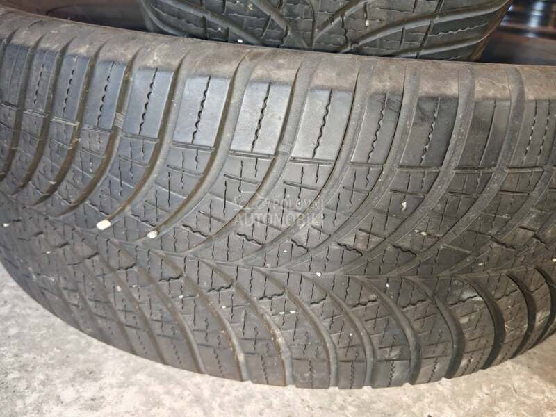 Goodyear 225/55 R17 Sve sezone