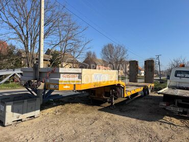 Noooteboom niskonoseca