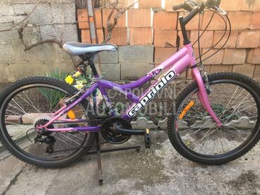 Capriolo Diavolo 240 Ljubicasti