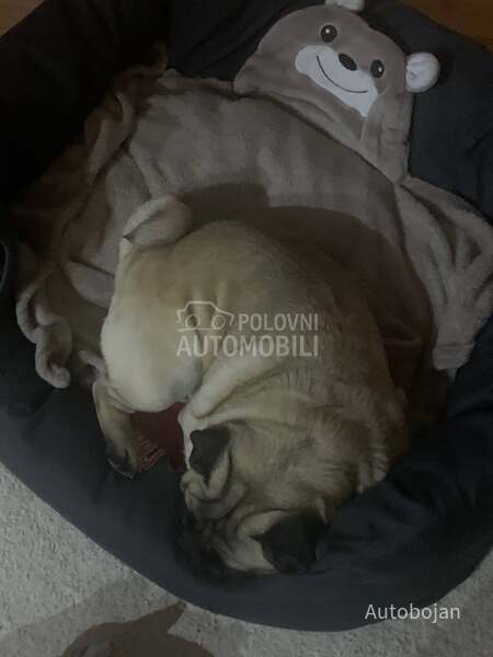 Vesta Light20kip/17kip/20uno