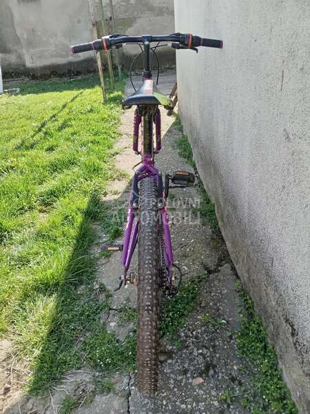 venera bike 24 cola8