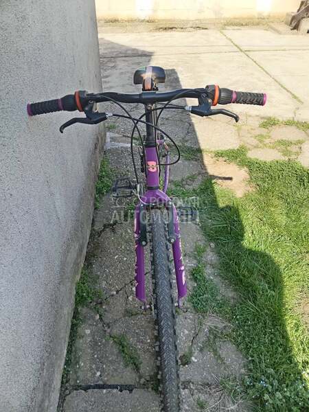 venera bike 24 cola8