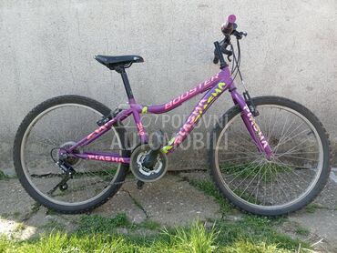 venera bike 24 cola8 