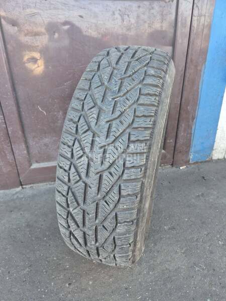Taurus 195/65 R15 Zimska