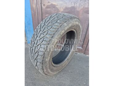 Taurus 195/65 R15 Zimska