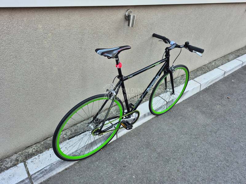 BERMUDA kiwi road Germany