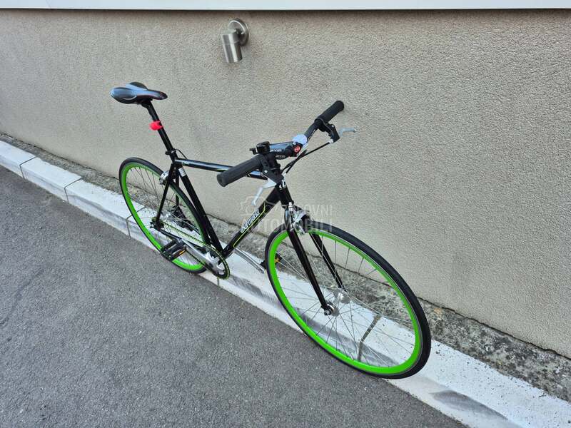 BERMUDA kiwi road Germany