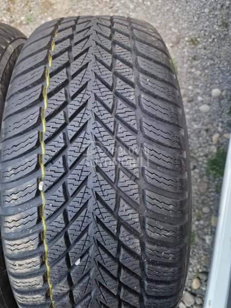 Nokian 225/55 R17 Sve sezone