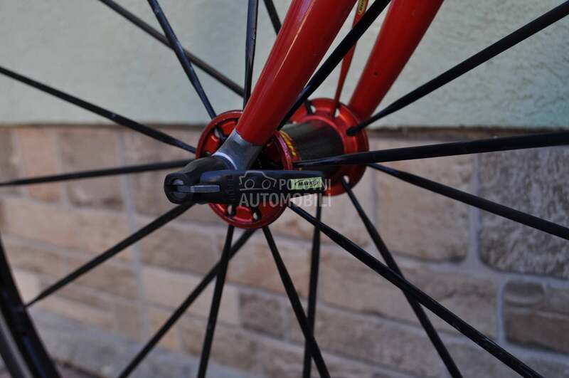 Moser Carbon  2x11