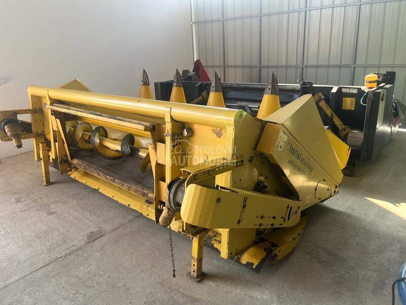 Capello ,Fantini,Dominonni,Idass