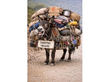 Iveco Daily 35.12 o.p.i.s