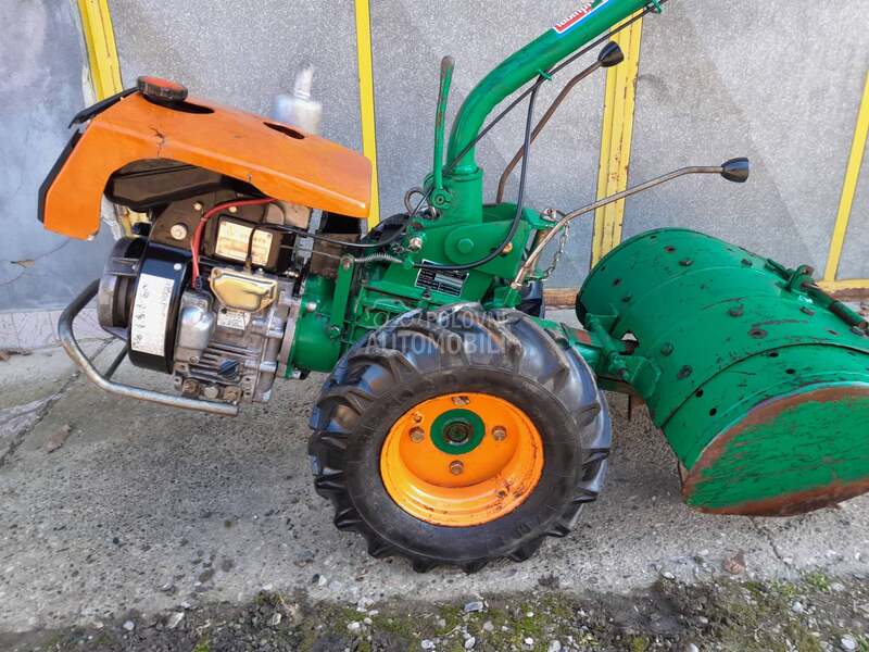 Goldoni Labin progres