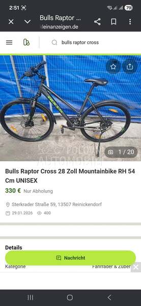 Bulls Raptor cross