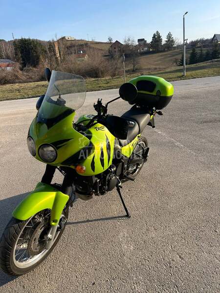 Triumph Tiger 955i