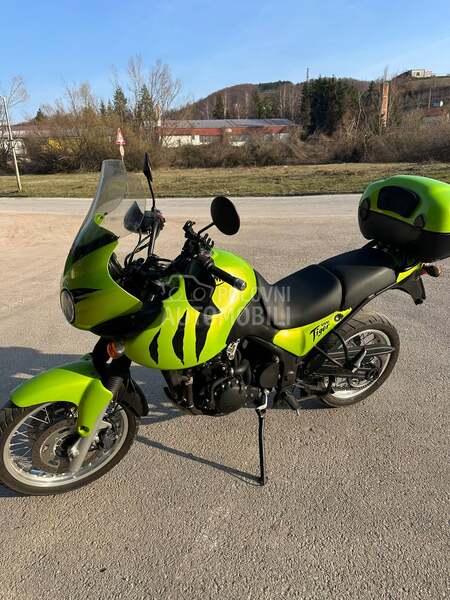 Triumph Tiger 955i