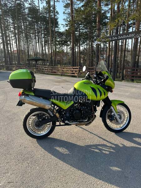 Triumph Tiger 955i