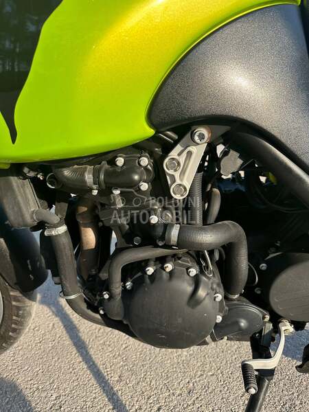 Triumph Tiger 955i