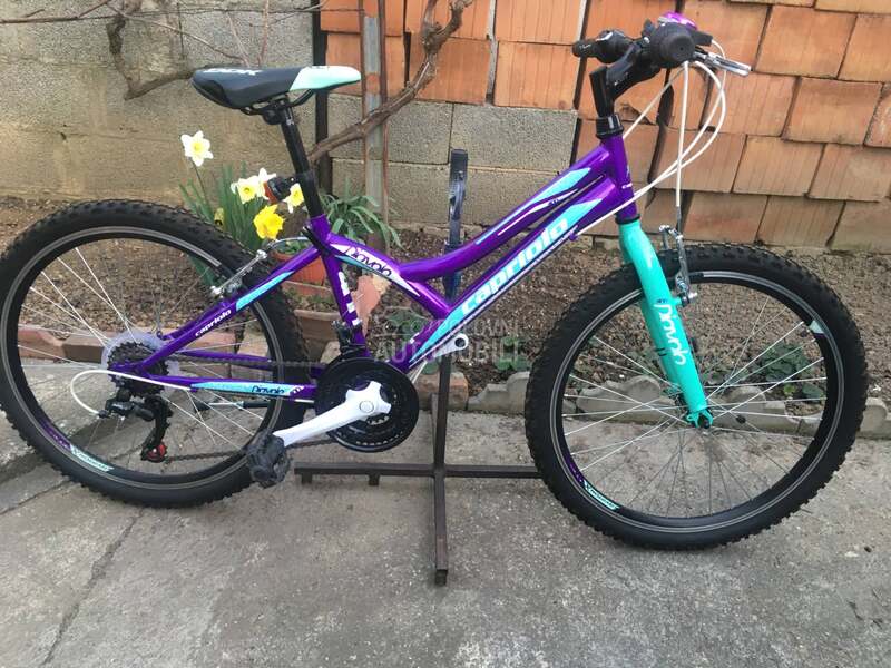 Capriolo Diavolo 240 Tirkiz Ljub