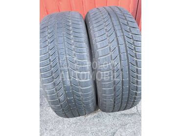 Continental 225/55 R17 Zimska