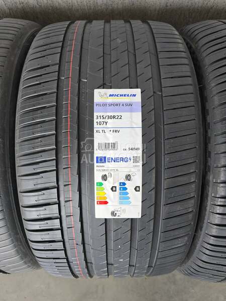 Michelin 315/30 R22 Letnja