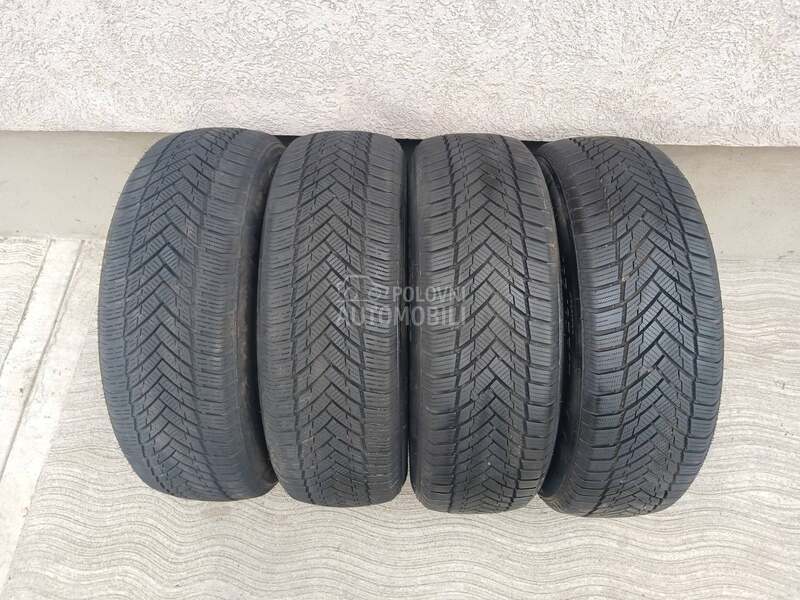 Torque 195/65 R15 Zimska