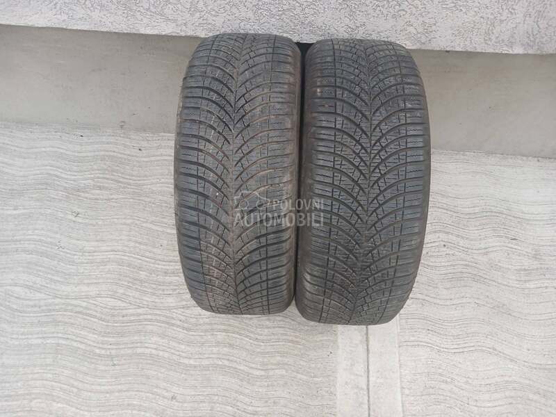 Goodyear 205/55 R16 Zimska