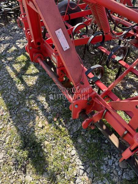 Vogel Noot Vibro cult