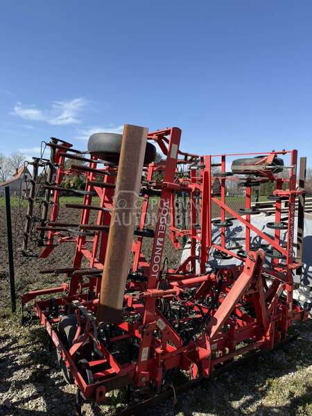 Vogel Noot Vibro cult