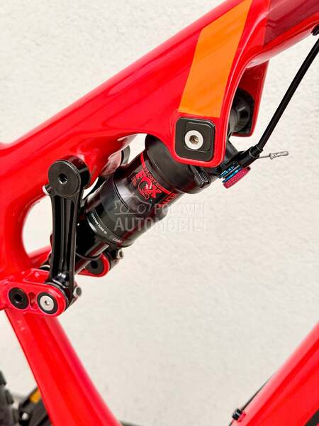 Rocky Mountain Instict 29