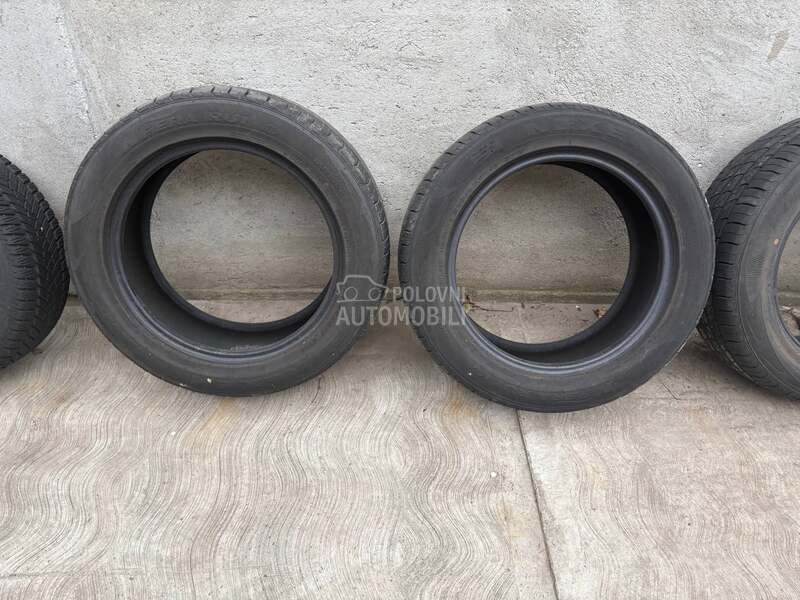 Nexen 225/55 R17 Sve sezone