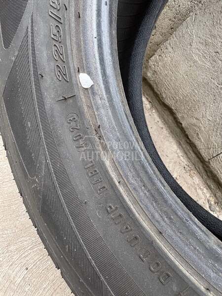 Nexen 225/55 R17 Sve sezone
