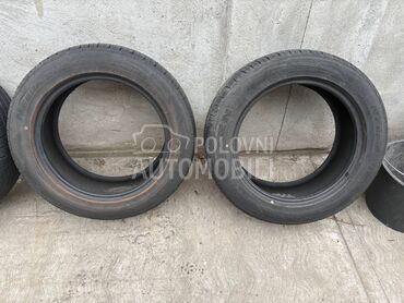 Nexen 225/55 R17 Sve sezone