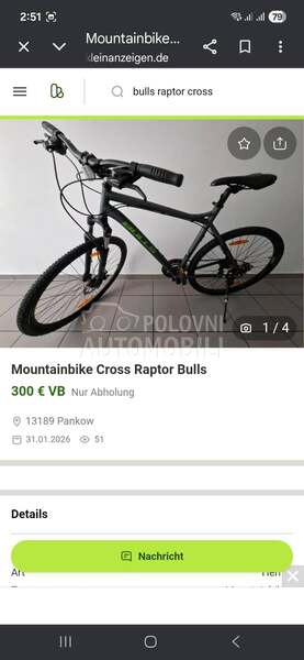 Bulls Raptor cross