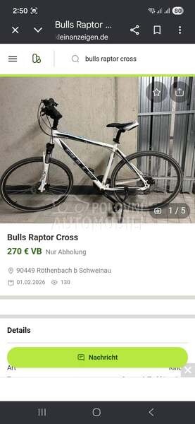 Bulls Raptor cross