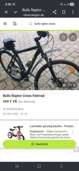 Bulls Raptor cross