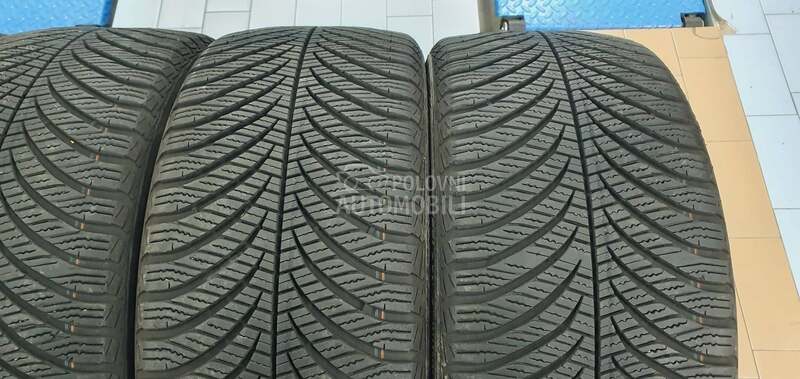 Goodyear 225/40 R18 Sve sezone