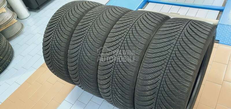 Goodyear 225/40 R18 Sve sezone