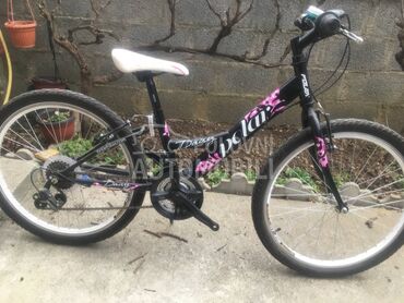 Polar Daisy 240 Crno Roze