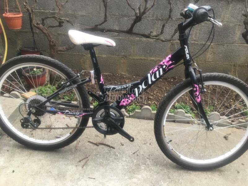 Polar Daisy 240 Crno Roze