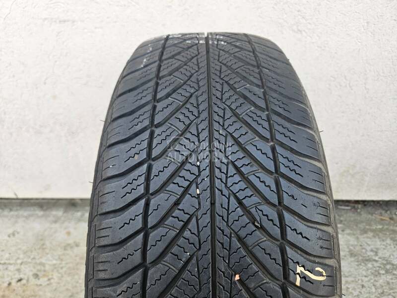 Goodyear 205/55 R16 Zimska