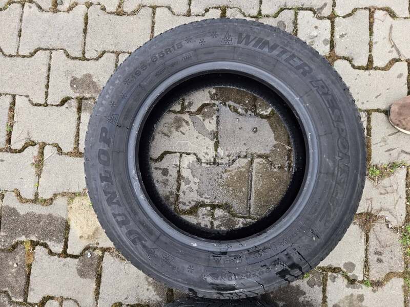 Dunlop 195/65 R15 Sve sezone